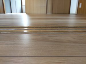 居室の段差の解消